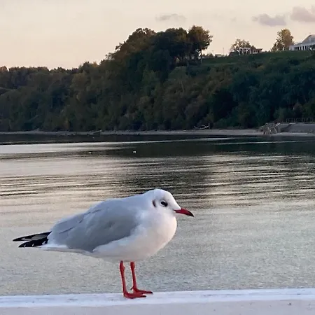 Apartment Klif&mechelinki