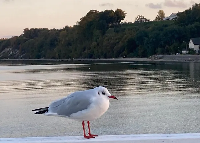 Lägenhet Klif W Mechelinkach