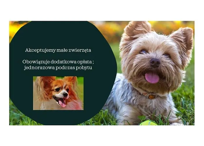 Klif W Mechelinkach Lägenhet *